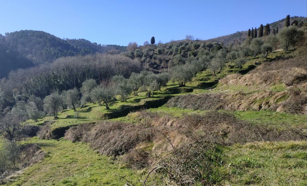 Il Silenzio Daire Lucca Dış mekan fotoğraf